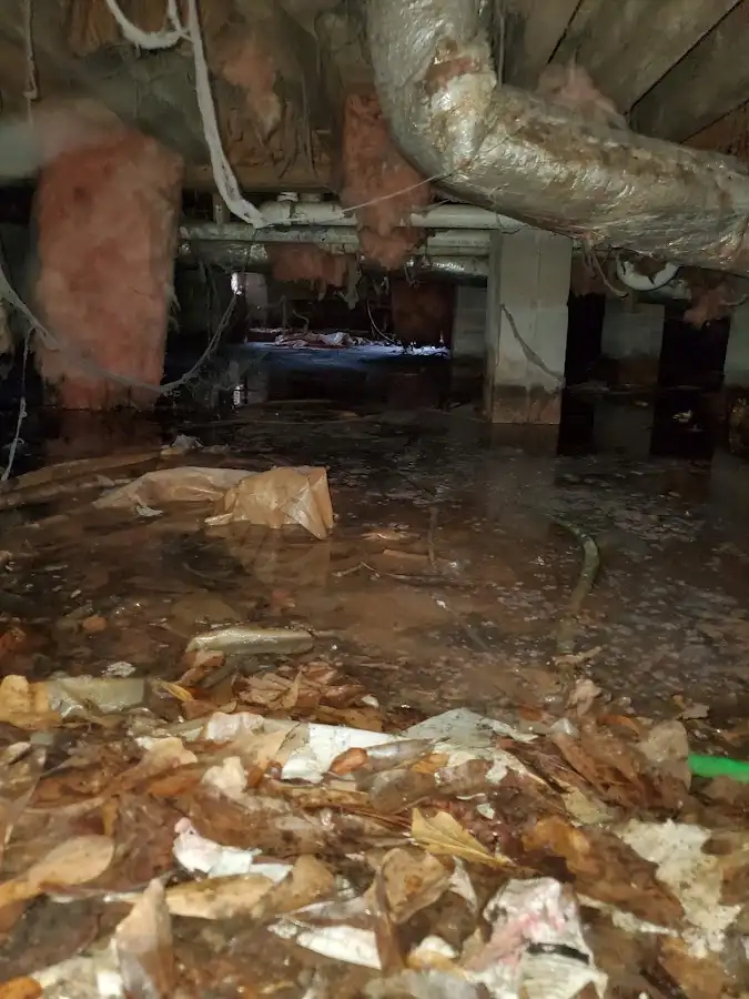 Crawl space flood assessment for Leak Detection & Repair in Palo Alto